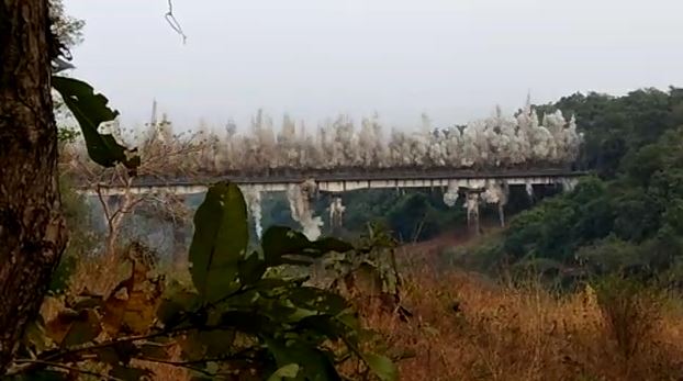 VIDEO : काही सेकंदांचा अवधी, पूल जमीनदोस्त