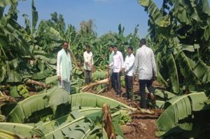 Maharashtra Rain Update