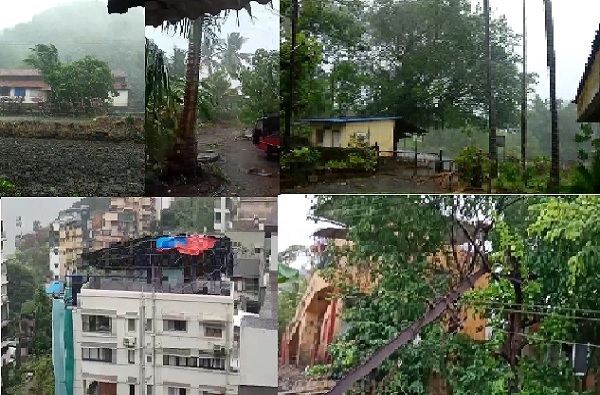 PHOTO | झाडांची पडझड, पत्रे उडाले, 'निसर्ग' चक्रीवादळाचं रौद्र रुप