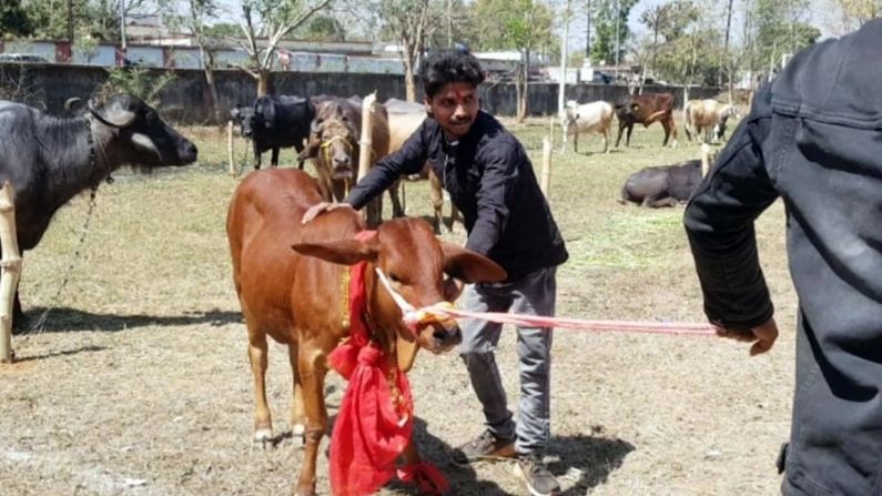 msd, mahendra singh dhoni, birsa agriculture university, Agriculture Festival, dhoni farm house,