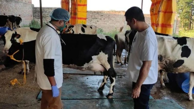 msd, mahendra singh dhoni, birsa agriculture university, Agriculture Festival, dhoni farm house,