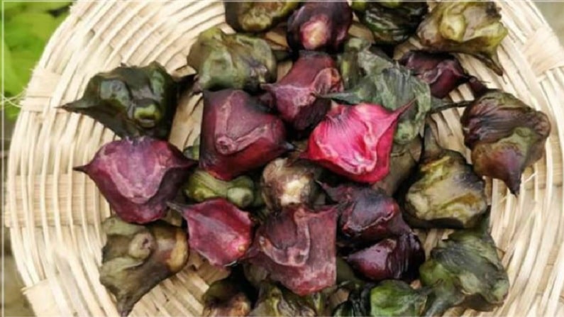 food 3