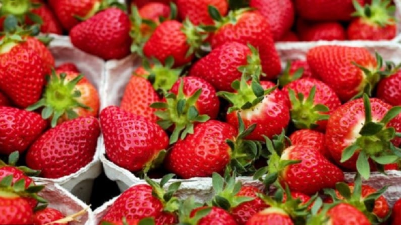 food 5