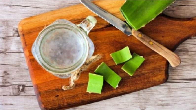 food 14-