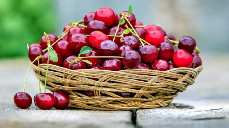 Cherry 1