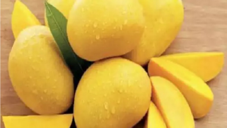 mango 2