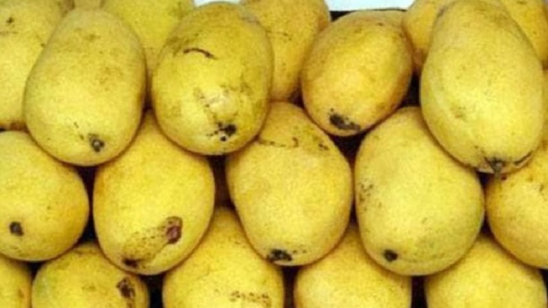 mango 3