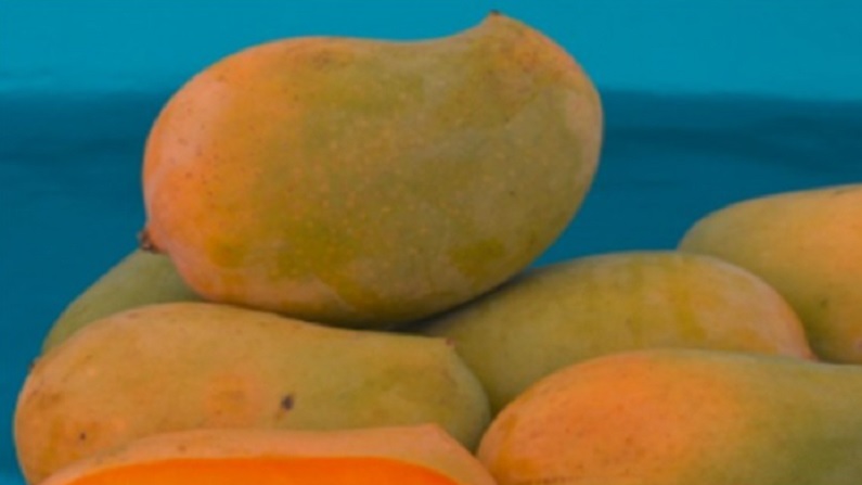 mango 4