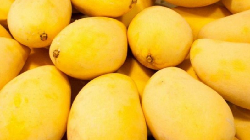 mango 3