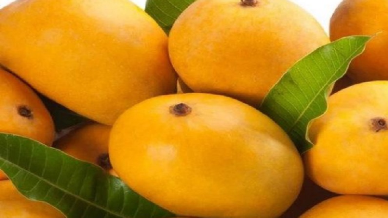 mango 1