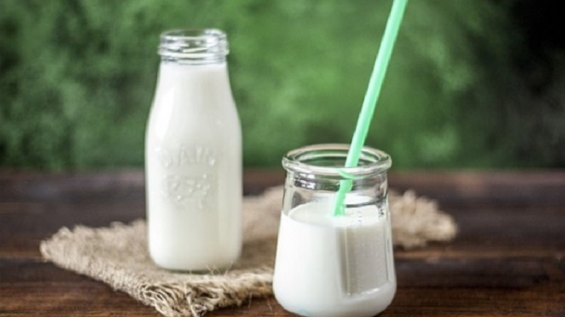 food 10