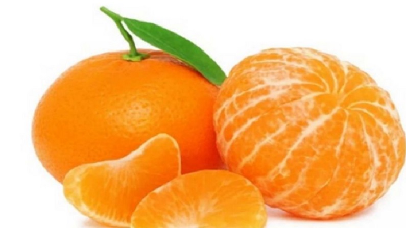 summer food 4