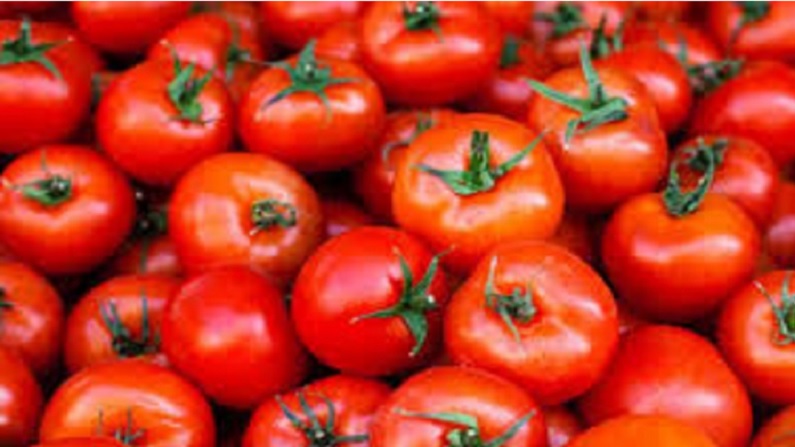 summer food 5