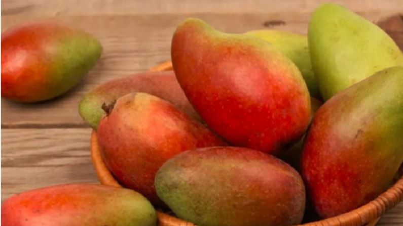Fruit 4