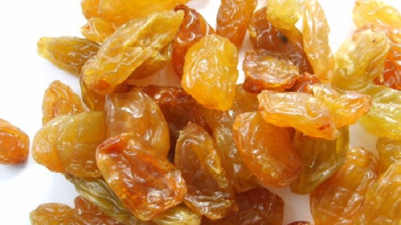 food 8