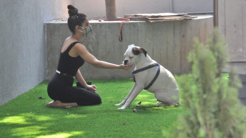 Raveena Fatima Sana Shaikh 6