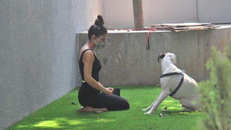 Fatima Sana Shaikh 6