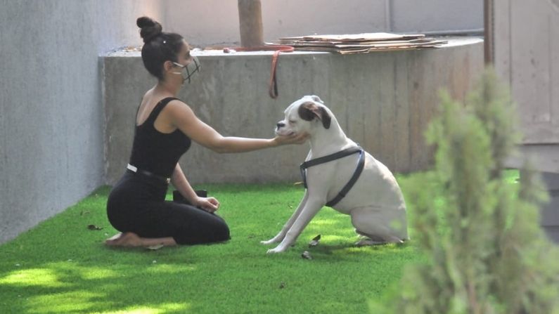 Fatima Sana Shaikh
