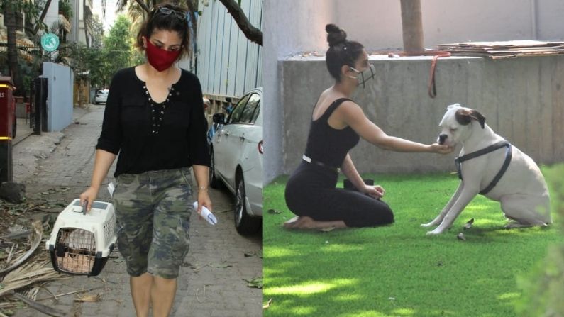 Raveena Fatima Sana Shaikh 3