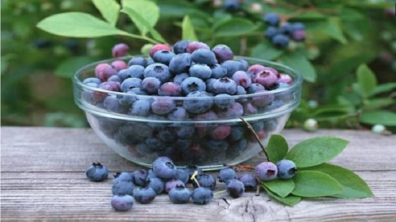 Blueberries 3