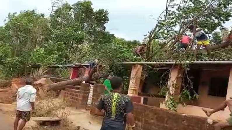 Pandurang Ghug Tree collapse