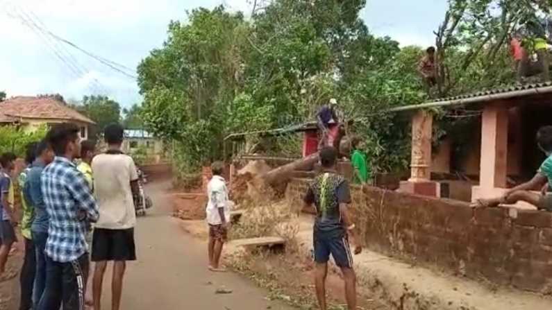 Pandurang Ghug Tree collapse