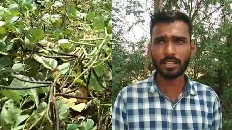 Mug Farmer
