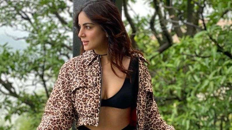 shraddha arya