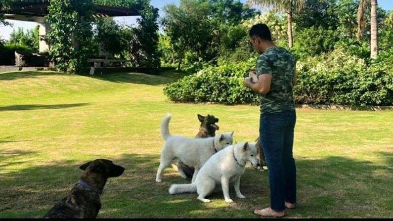 MS Dhoni Farm house