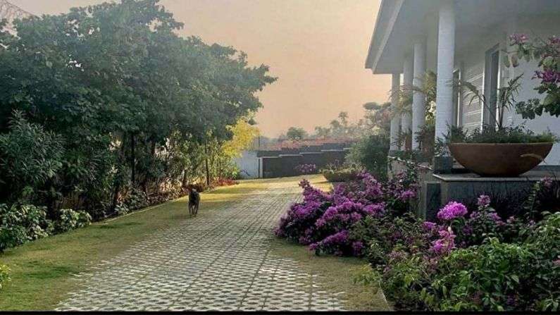 MS-Dhoni-Farm-house