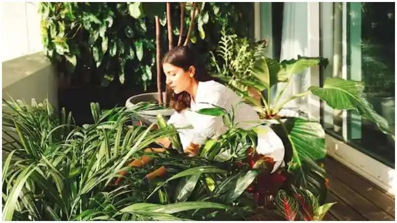 Virat kohli Anushka Sharma mumbai home see photos
