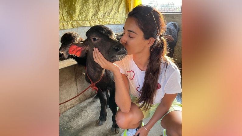 Disha Patani