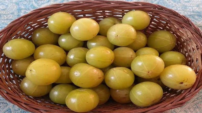 Amala 1