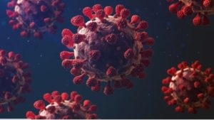 Maharashtra Coronavirus LIVE Update : पंढरपूर शहराची कोरोनामुक्तीकडे वाटचाल, दिवसभरात फक्त 37 नव्या कोरोनाग्रस्तांची नोंद