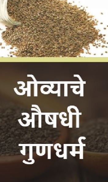 ओव्याचे औषधी गुणधर्म