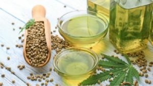 Benefits of Hemp Seed : औषधी गुणधर्म असलेले गांजाचे तेल आरोग्यासाठी जबरदस्त फायदेशीर, वाचा !