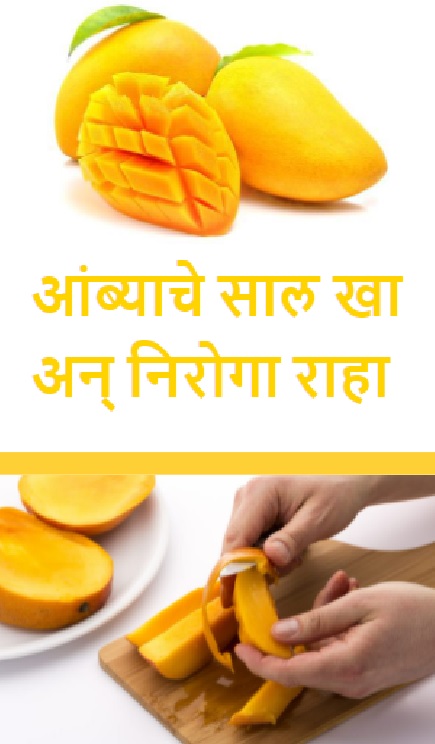 आंब्याचे साल खा आणि निरोगी