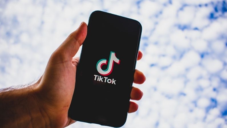 TikTok ban in Pakistan, allegations of spreading obscenity, ban by High Court